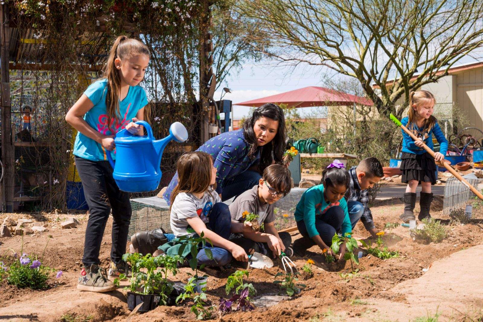 Earth Day Activities for Your Classroom, Regardless of Subject