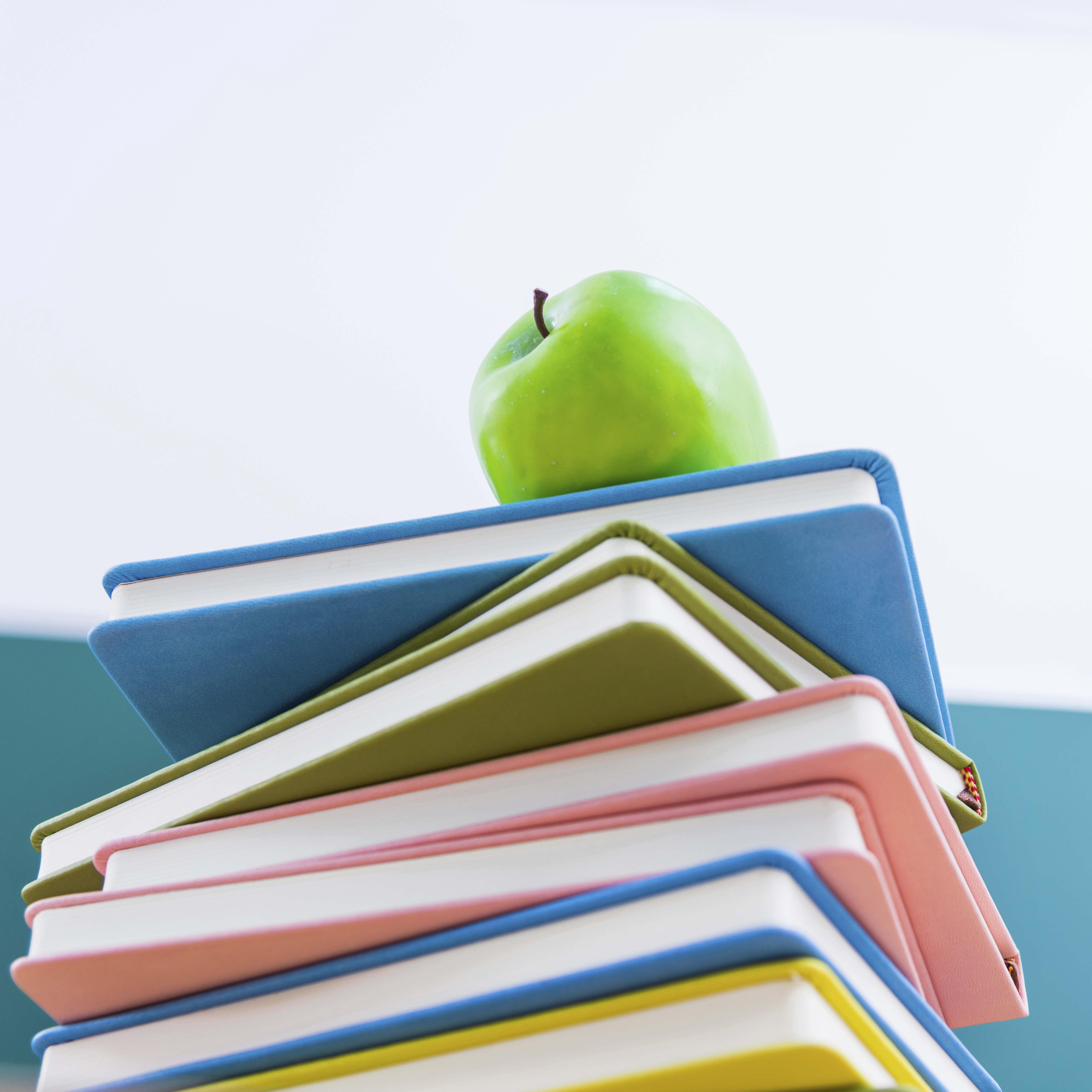 Nutrition Education in the Classroom