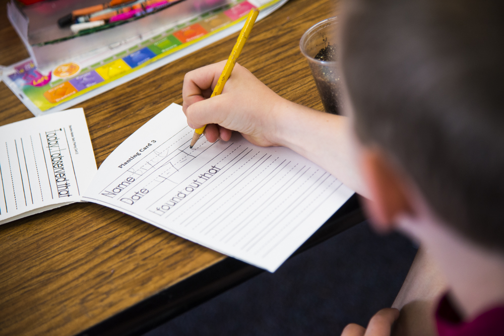 Rethinking the Common Pretest