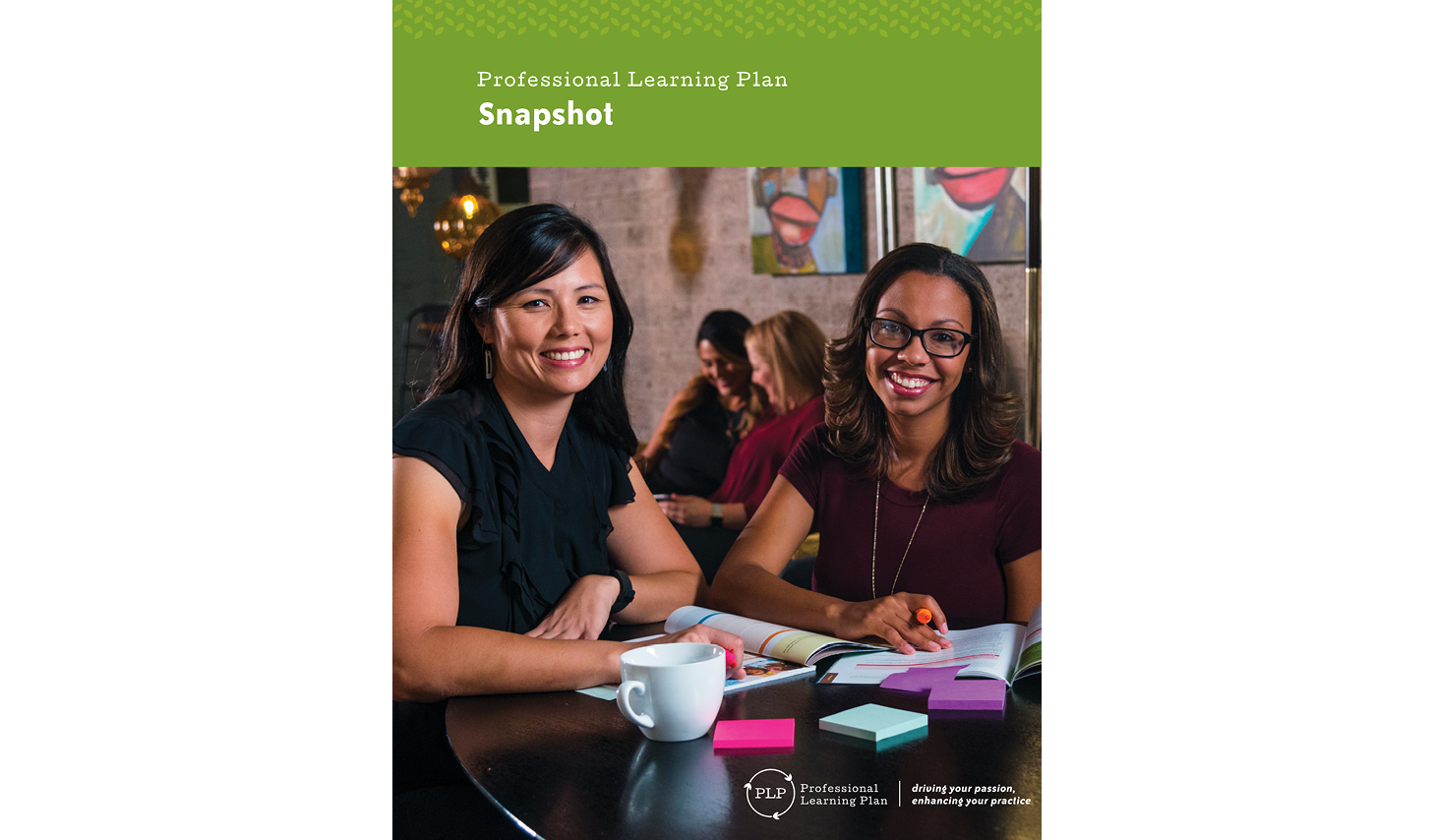 Professional Learning Snapshot